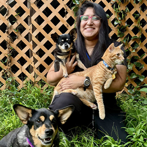 Mariah, Natick Surgical Veterinary Technician