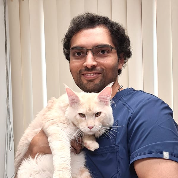 Dr. Navang Shetty, Natick Veterinarian