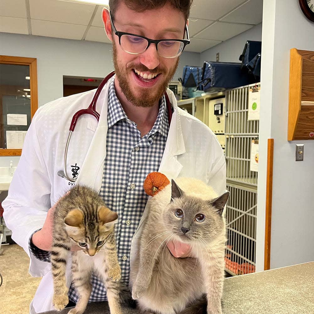 Dr. Matthew Turner, Natick Veterinarian