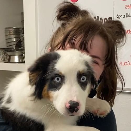 Kate Supernor, Natick Veterinary Assistant