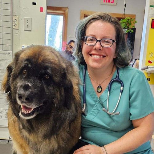 Kelse Hills, Natick Veterinary Technician